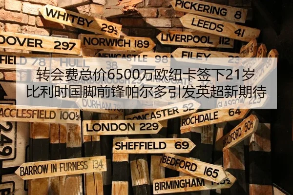 转会费总价6500万欧纽卡签下21岁比利时国脚前锋帕尔多引发英超新期待